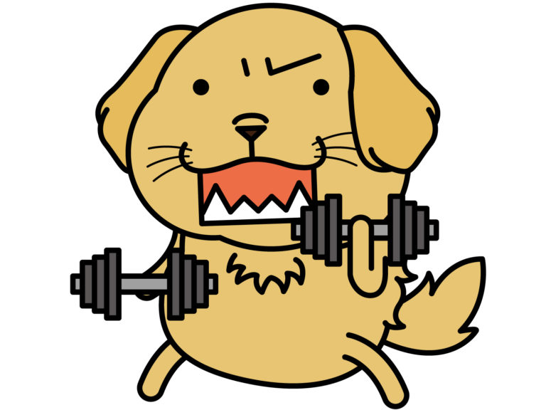 ダンベルを上げる犬