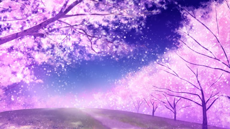 幻想的な夜桜の桜並木